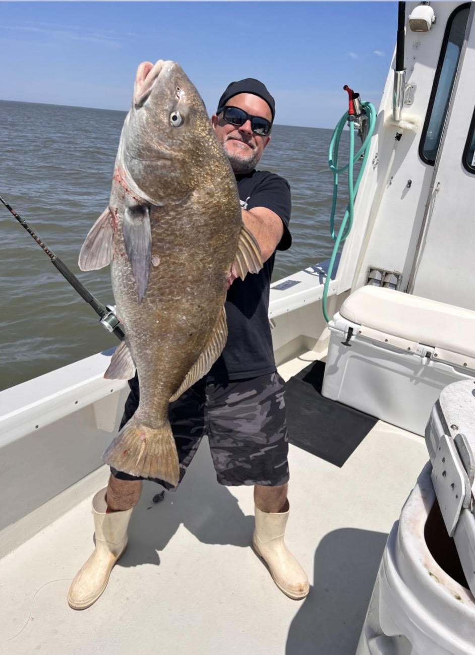Captain Tom’s Corner: Drum and Stripers in the Bay, Sea Bass on the Way