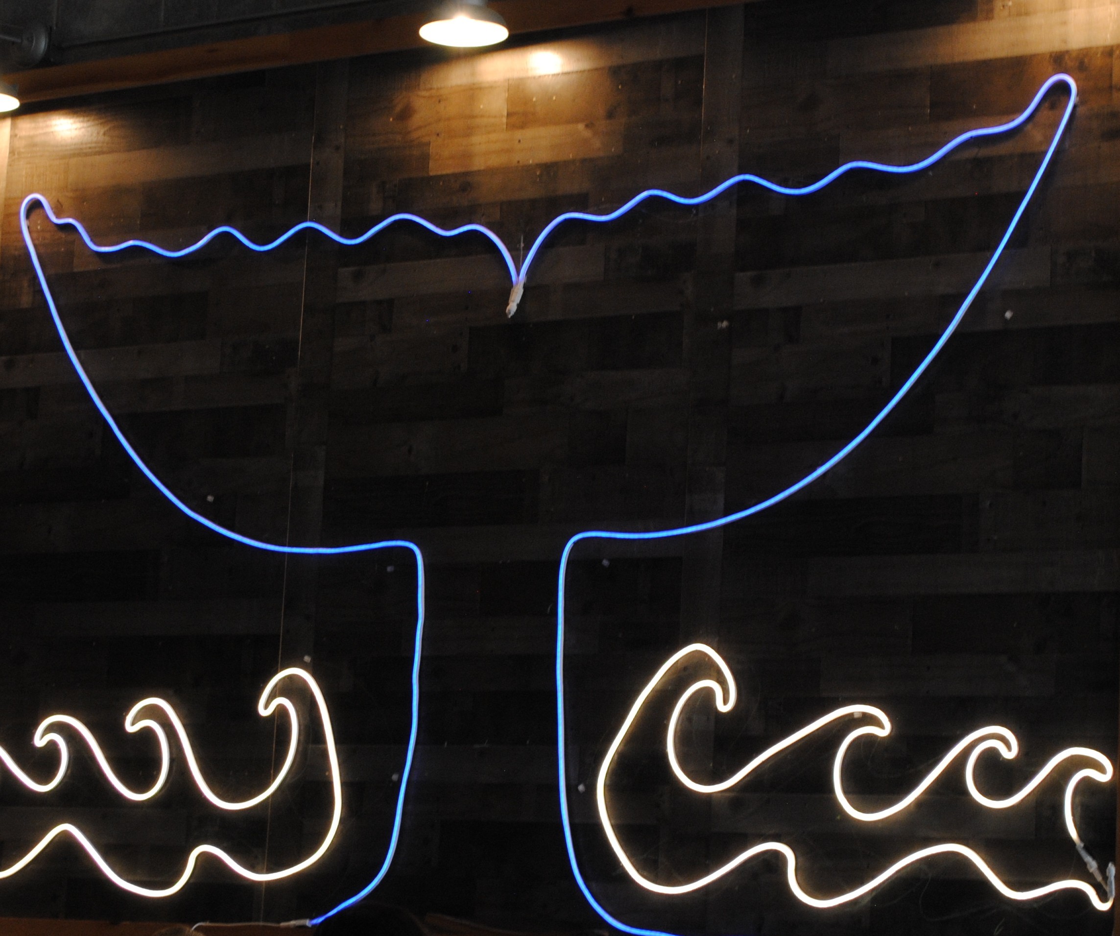 Brewery Profile: Cape May County’s Whale Tale – Serving up Beers with a Side of Community Spirit