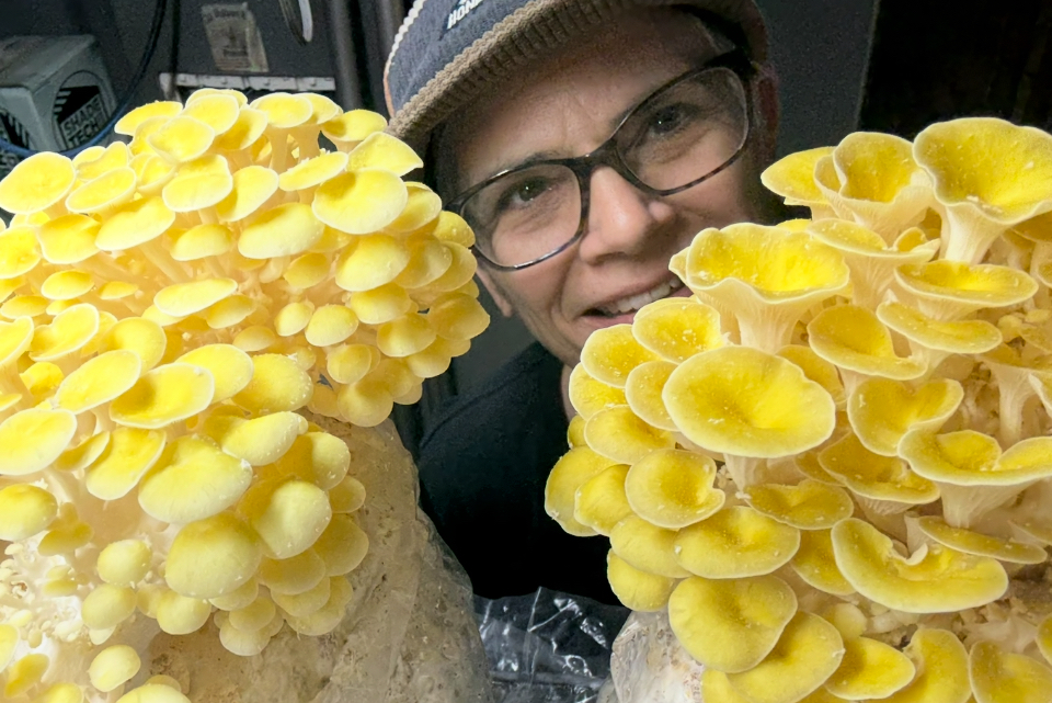 Uncommon Garden: Local Farmer Growing Gourmet Mushrooms in Her Cape May County Garage