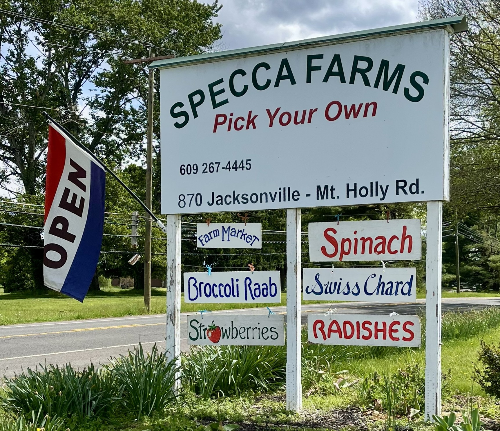 Specca Farms, Where you can Pick Your Own…Everything!